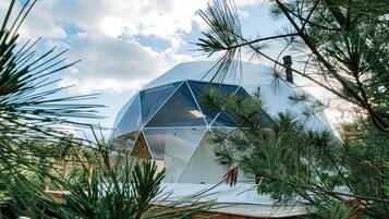 Unique geodesic dome surrounded by lush greenery, offering a tranquil retreat.