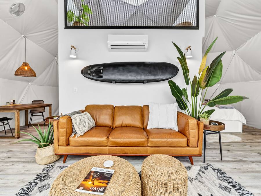 A modern living room with a leather sofa, a skateboard, and a large plant.