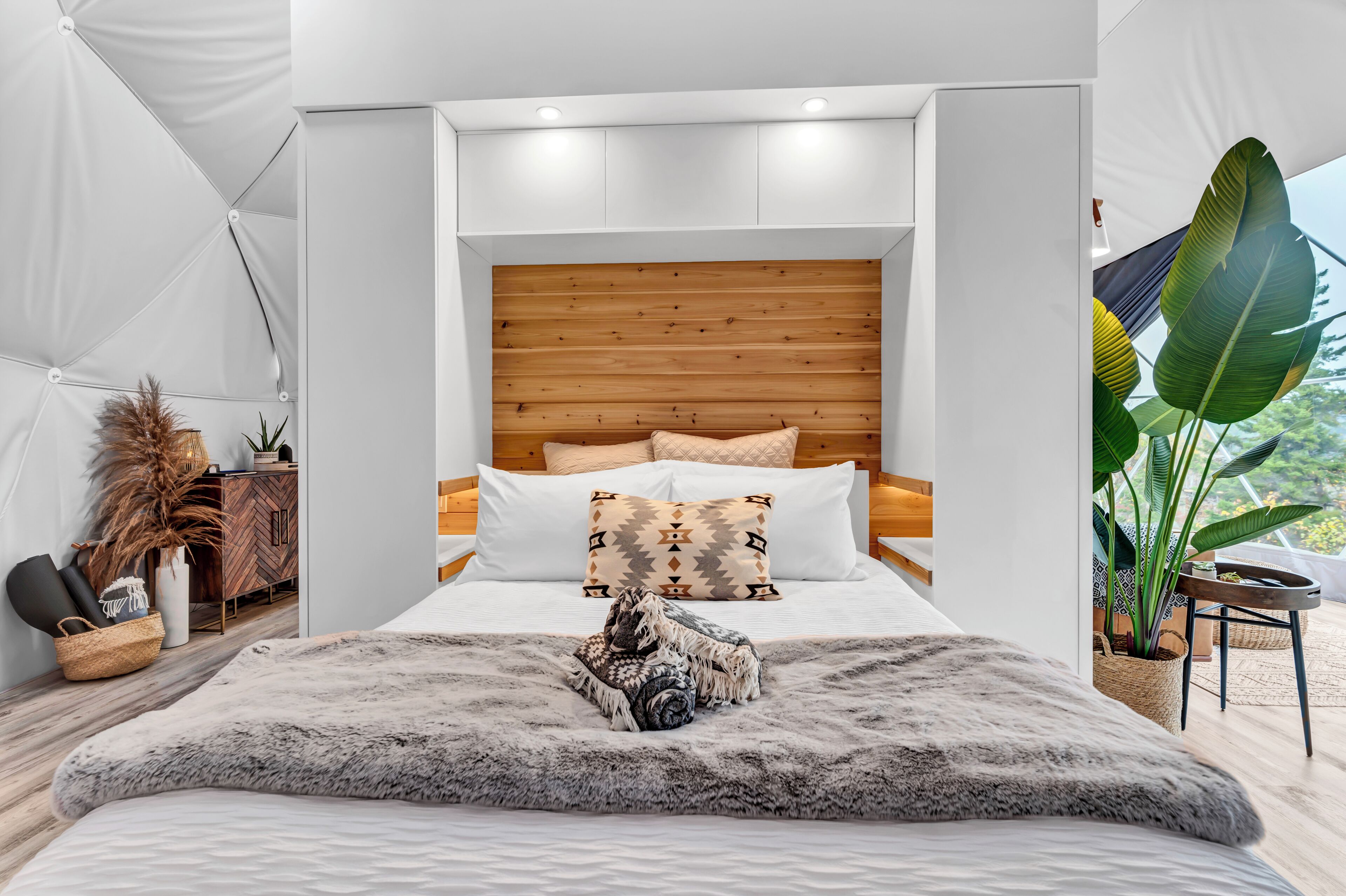 A modern bedroom with a wooden headboard, white bedding, and a large plant by the window.