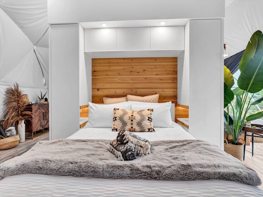 A modern bedroom with a wooden headboard, white bedding, and a large plant by the window.
