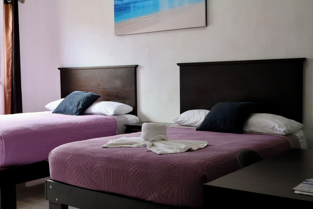 1 bedroom, hypo-allergenic bedding, down comforters, Tempur-Pedic beds