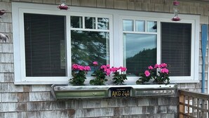 Una casa con ventana y contraventanas, una maceta metálica con flores rosas y una placa de matrícula de California.