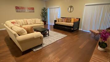 Smart TV, fireplace, books