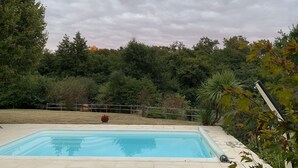 Ein rechteckiger Pool mit einer Fliesenbordsteinkante, umgeben von einer Rasenfläche und einem Holzzaun.