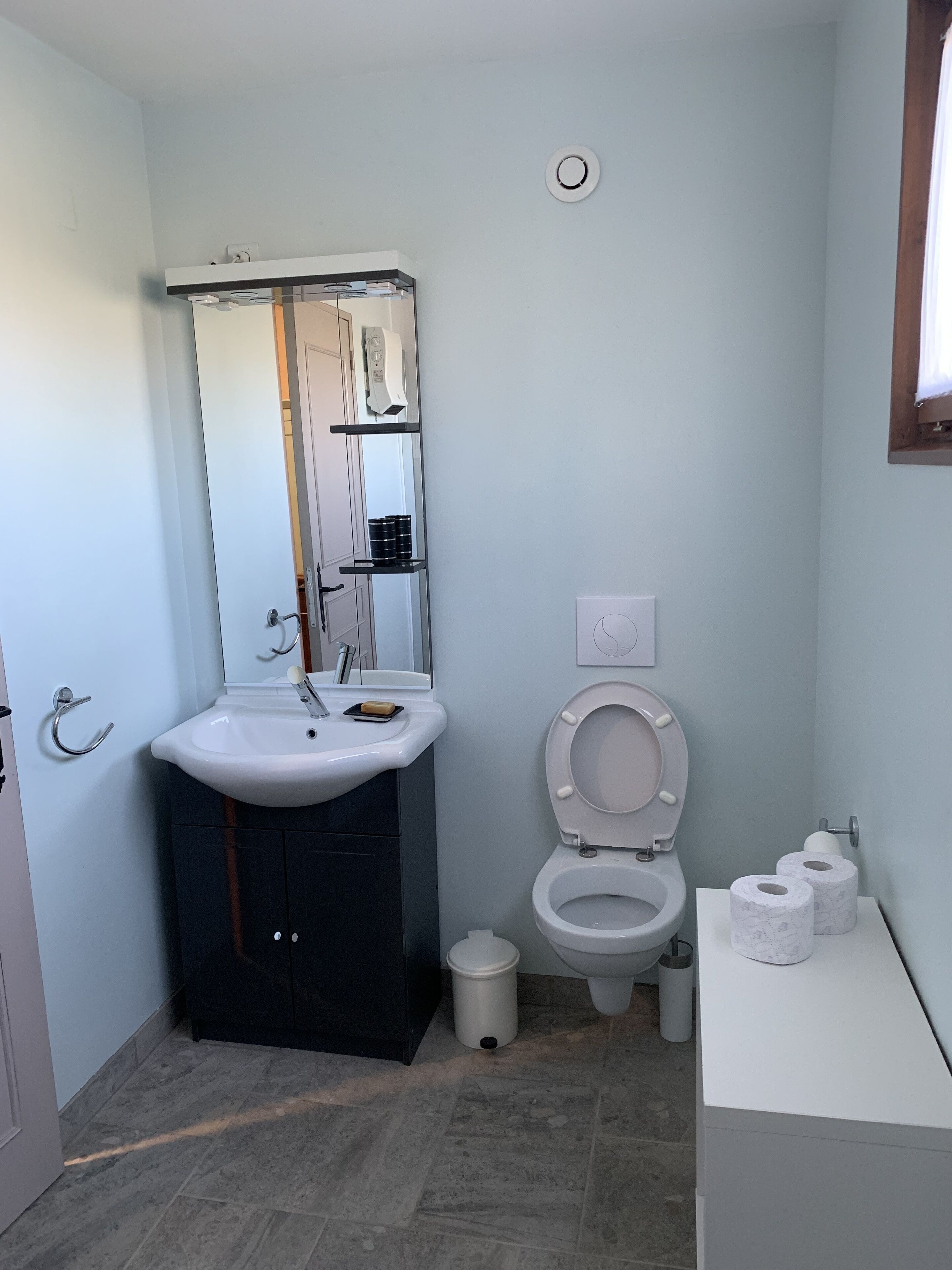 Une salle de bain moderne avec un lavabo blanc, des meubles sombres, des toilettes et un miroir au-dessus du lavabo.