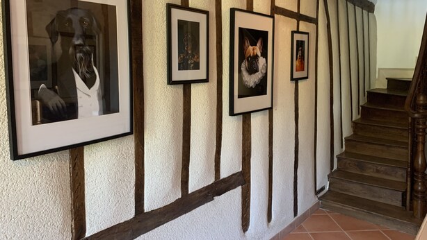 Ein Flur mit gerahmten Bildern an der Wand, einer Treppe und einer strukturierten Wandgestaltung.