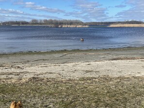 On the beach, sun loungers