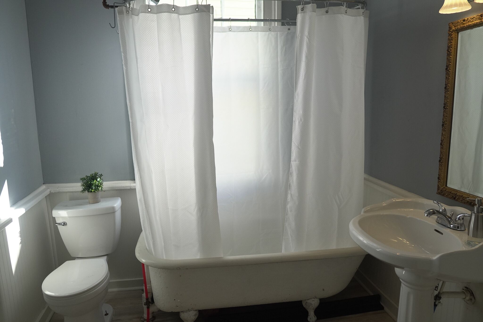 The Davis - Beautiful Classic Charleston Home!