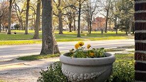 A park with a paved path, trees, and a building in the background.