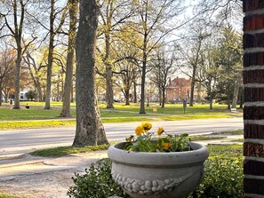 Área da propriedade