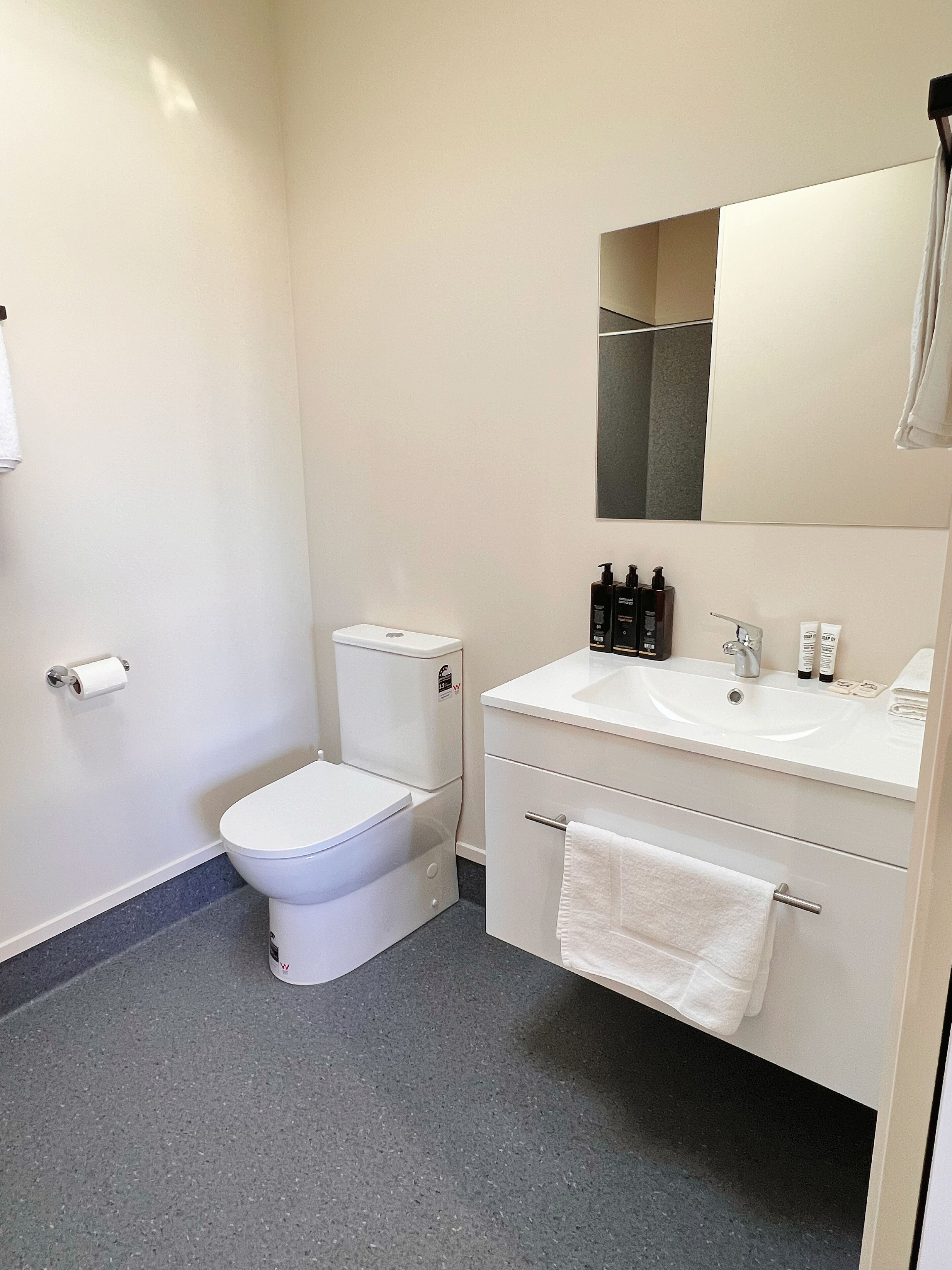 Ein modernes Badezimmer mit Toilette, Waschbecken und Spiegel.