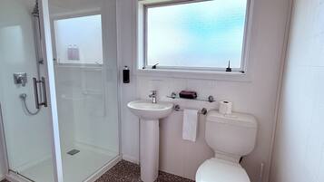 Een badkamer met een douchecabine van glas, een wastafel op voet, een toilet en een raam boven de wastafel.