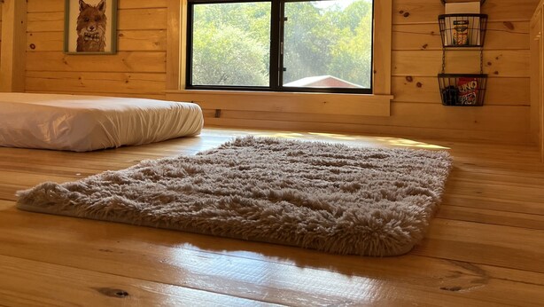 Een gezellig kamer in een chalet met houten wanden en plafond, een groot raam, een zacht vloerkleed en een ingelijste foto aan de muur.