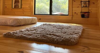 Mourning Dove, a luxurious Lancaster cabin in French, NY.