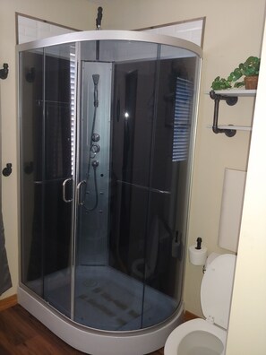 A corner shower enclosure with a glass door, a toilet, and a small shelf with a plant. - Black Iron beach house (Blossvale)
