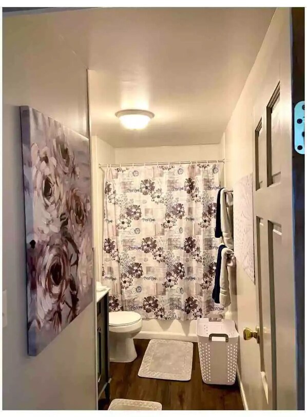 Hair dryer, towels, soap, shampoo