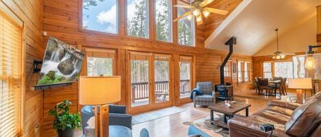 Smart TV, fireplace, books, printers