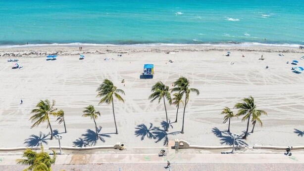 A beach with palm trees, a lifeguard tower, and the ocean.