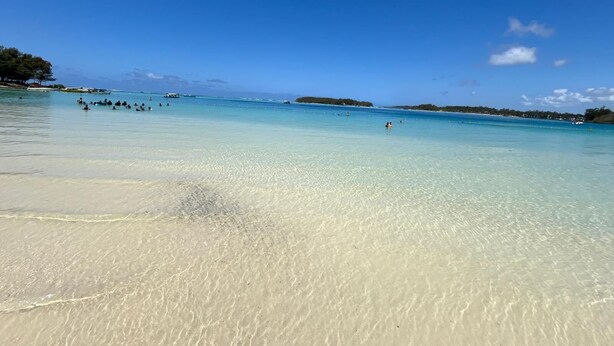 Une plage à l’eau turquoise et limpide, avec un rivage sablonneux et des arbres qui se dessinent à l’horizon.