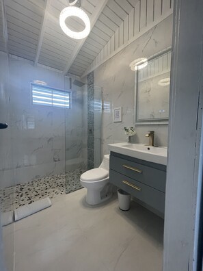 Shower, hair dryer, towels, soap