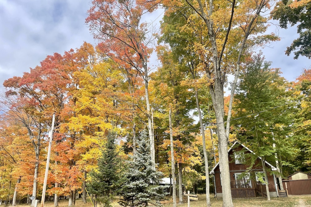 Cozy Lakeview cottage - Ideal fishing, snowmobiling access, peak fall colors!