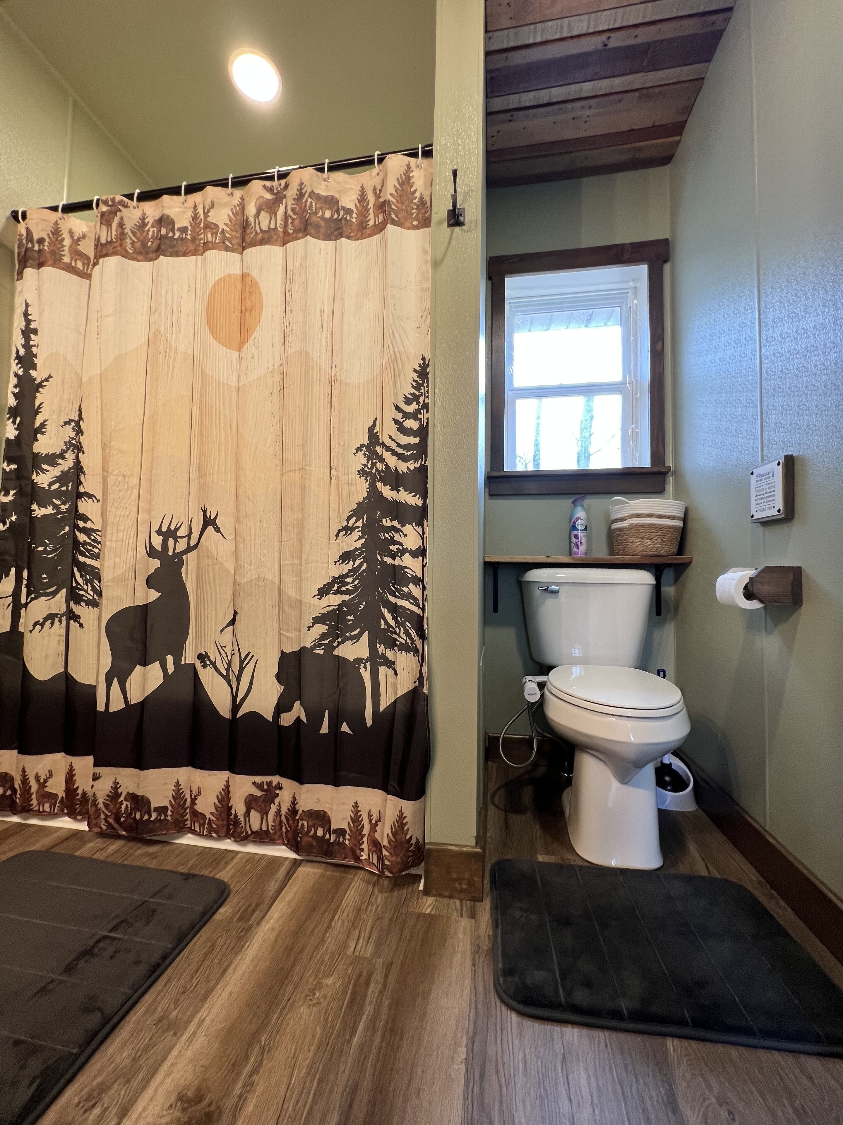 Cozy Lakeview cottage - Ideal fishing, snowmobiling access, peak fall colors! 