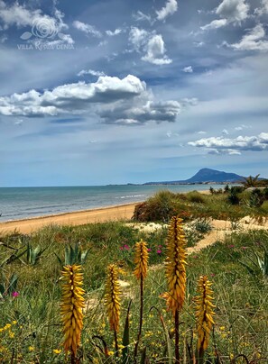 Sur la plage, chaise longue, serviettes de plage