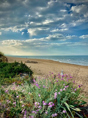 Am Strand, Liegestühle, Strandtücher