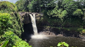 Una cascada en un entorno boscoso y exuberante.