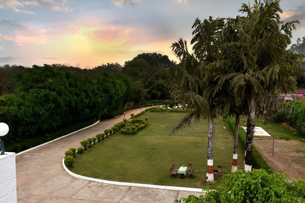 Garden