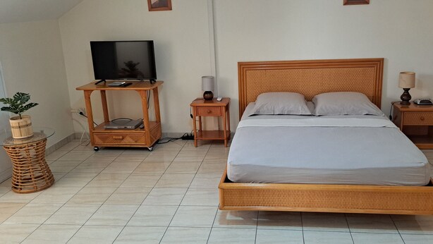 Un dormitorio con una cama, un televisor sobre un mueble de madera, una lámpara y una pequeña mesa con una planta.