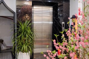 Un ascensor con detalles metálicos, una planta en maceta y una persona cerca.