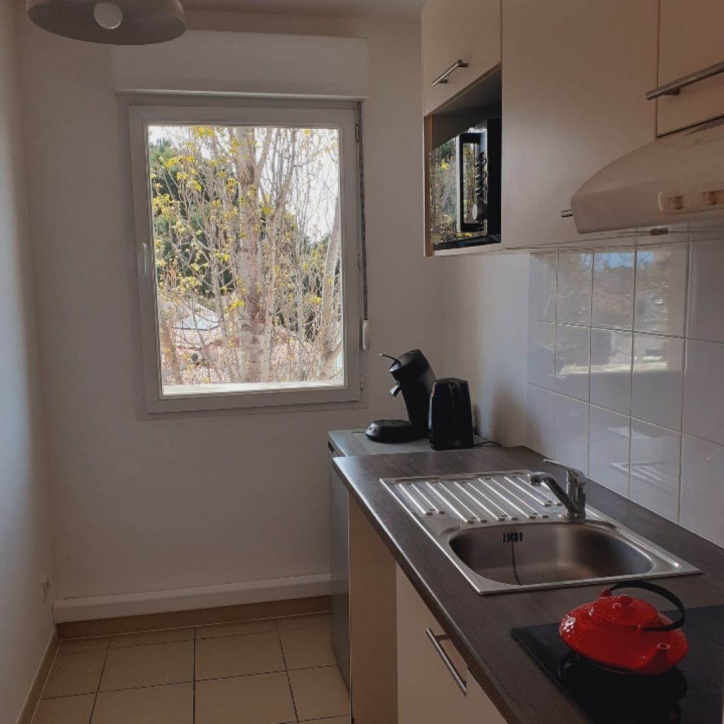 Luxury apartment Palm trees and beaches