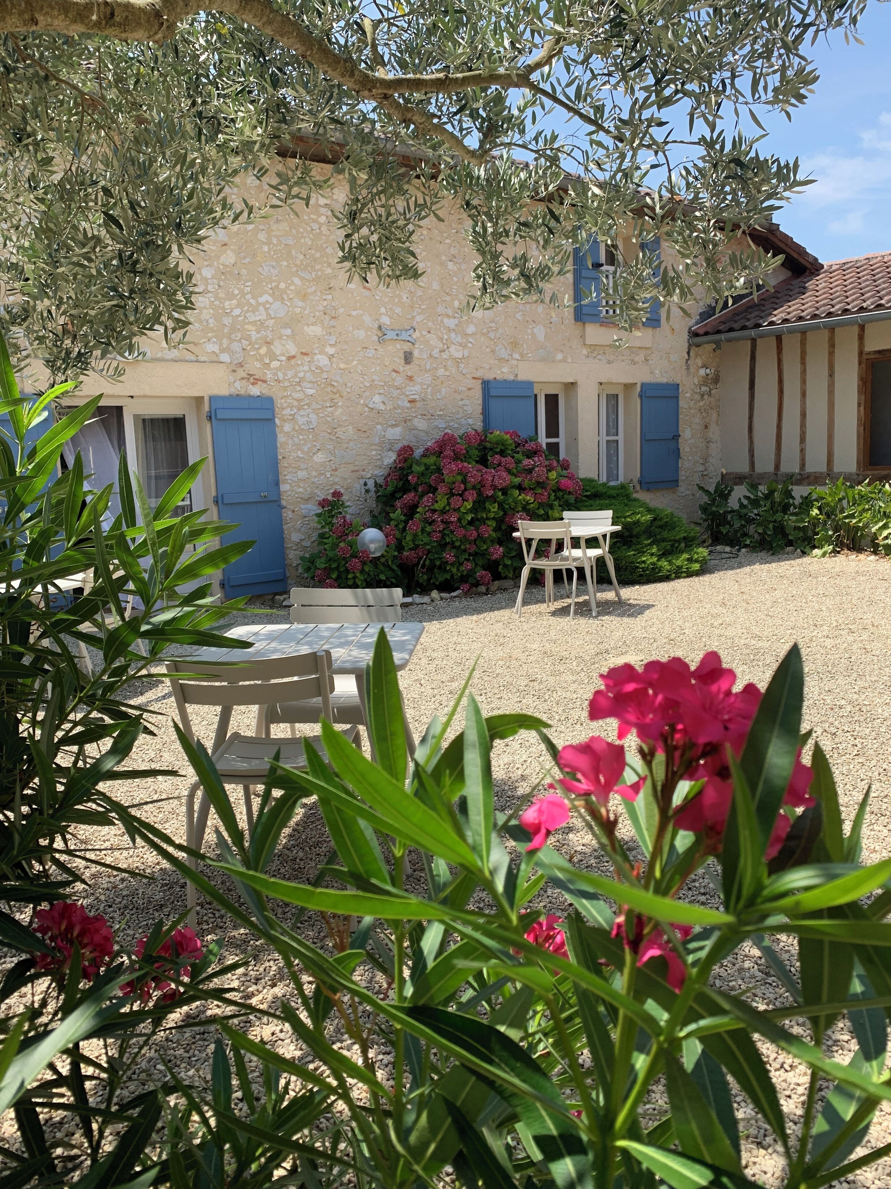 A courtyard with a stone wall, a table and chairs, and a bush with pink flowers.