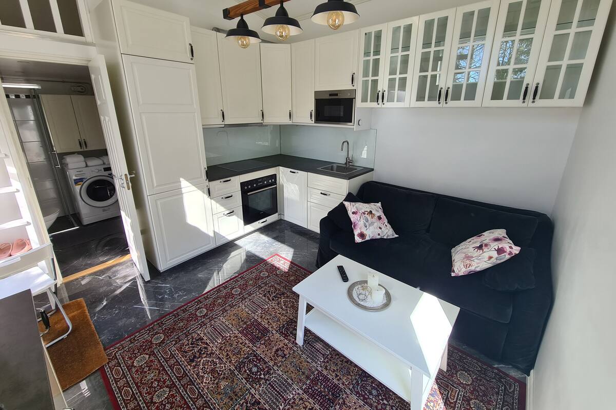 A compact living space with a kitchenette, a sofa, a coffee table, and a patterned rug.