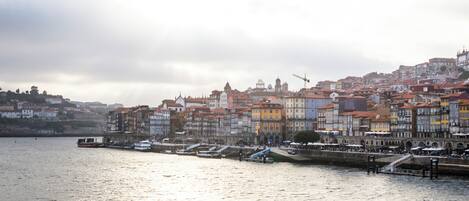 Un paisaje urbano frente al río, con edificios coloridos a lo largo de la orilla.