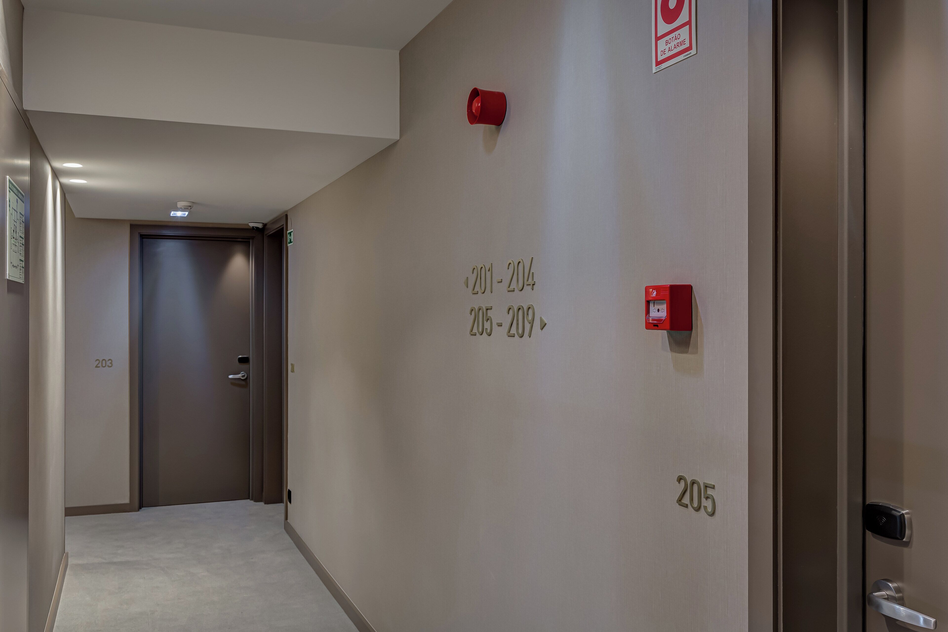 Photo - Acta The Clover