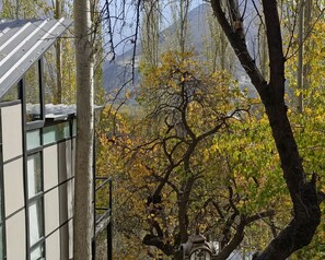 Alpehytte | Overnattingsstedets uteområder