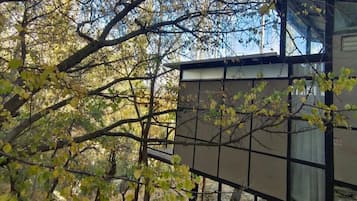 Chalet | Property grounds