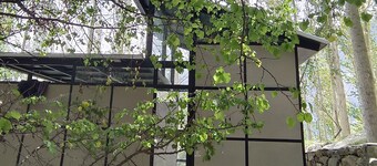 Zihin With Forest View - Cloud Nine And a Half