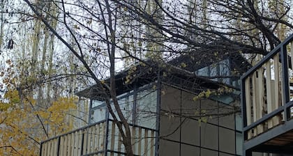 Zihin With Forest View - Cloud Nine And a Half