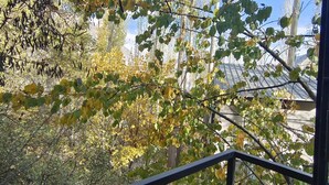 A view from a balcony with a metal railing, overlooking a forested area with trees displaying autumn foliage. - Zihin With Forest View - Cloud Nine And a Half (Karimabad)