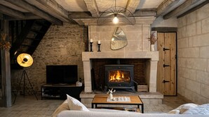A cozy living room with a stone fireplace, a television, and a sofa. - Le Cottage des Chalands (Saint-Georges-sur-Cher)