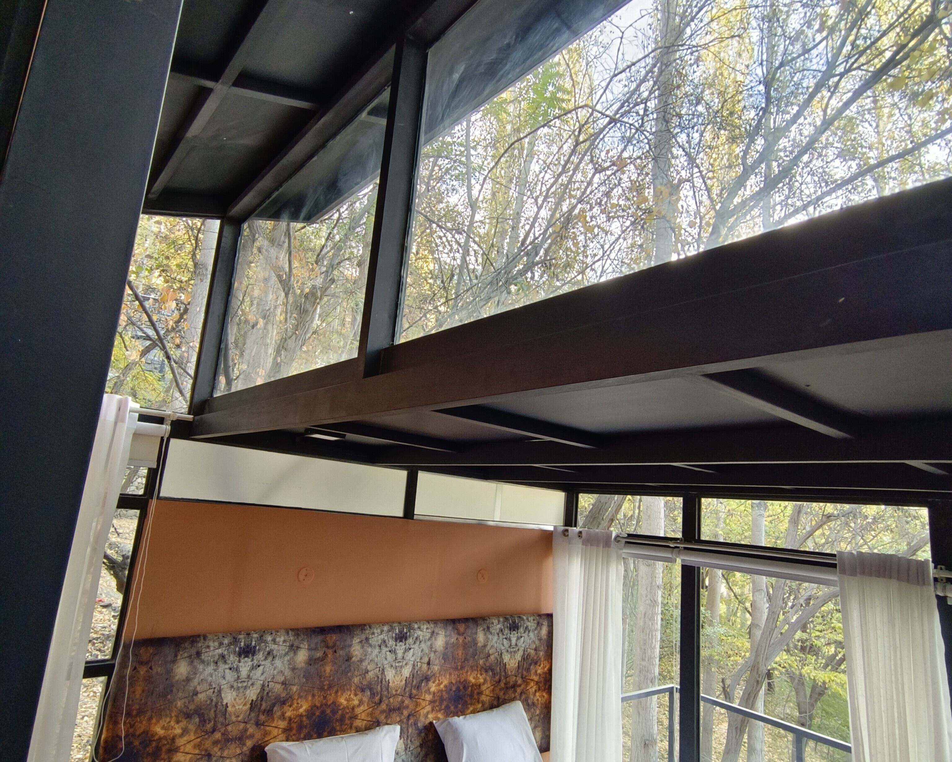 A room with a bunk bed, large windows, and a view of trees.