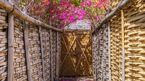 A narrow wooden pathway flanked by bamboo walls leading to a covered entrance. - Villa Matahari (Gili Meno)