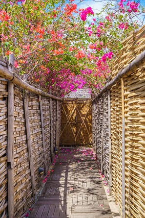 Exterior - Villa Matahari (Gili Meno)