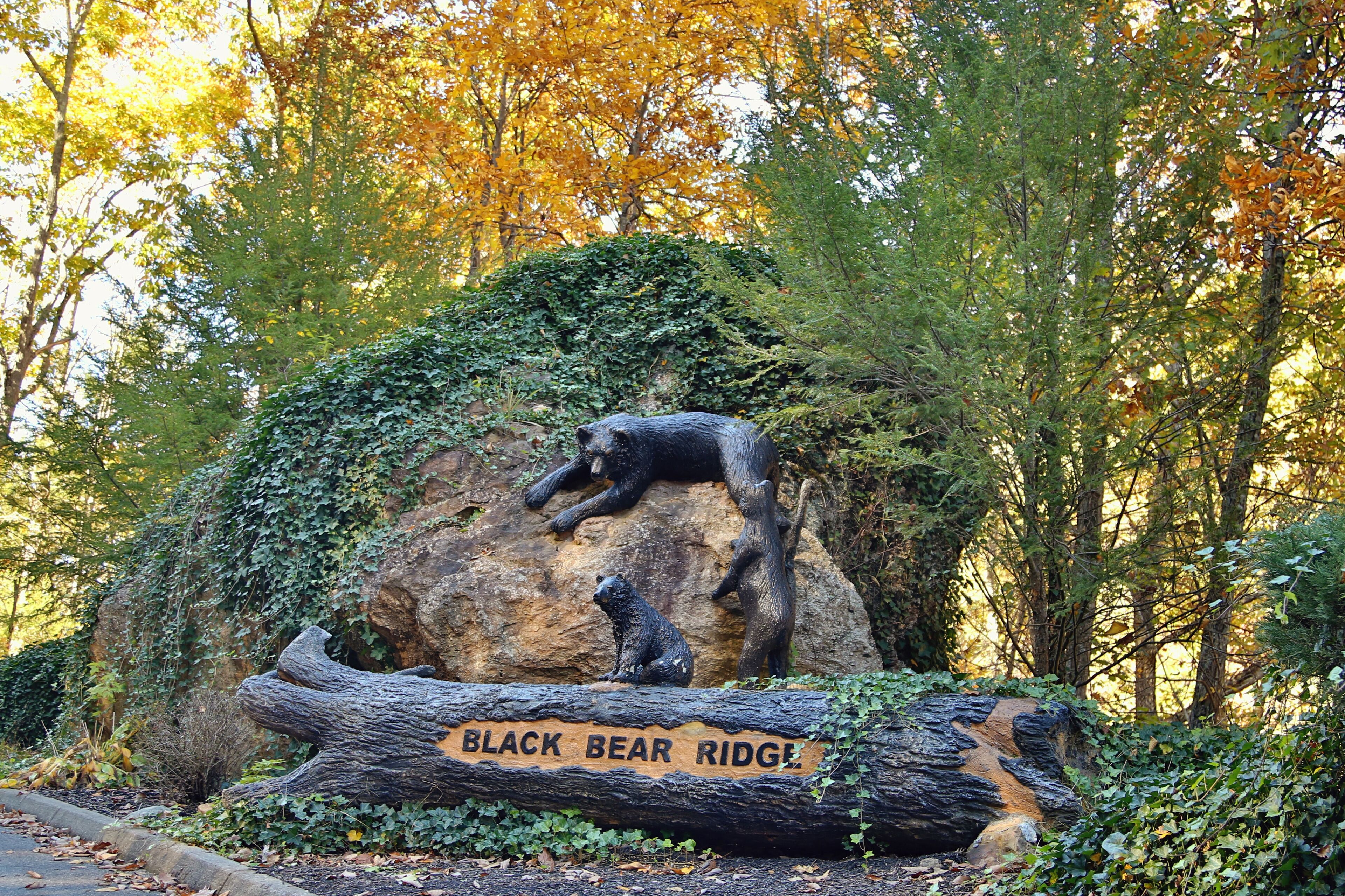 Un grand rocher orné d’une sculpture d’ours et d’un panneau indiquant « Black Bear Ridge ».