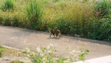 Comfort House | Pemandangan dari bilik