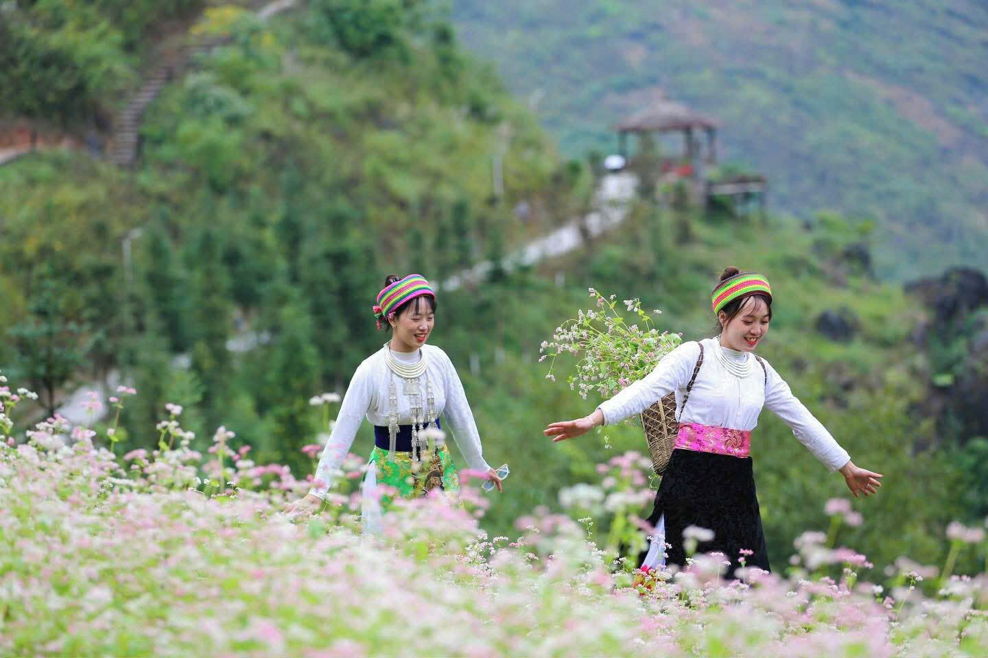 Deux personnes, vêtues de costumes traditionnels, se promènent dans un champ de fleurs, avec une chaîne de montagnes en arrière-plan.