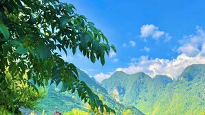 A stone pathway leading through a lush green landscape with traditional houses and mountains in the background. - H'mong Village Resort Ha Giang (Lung Tam)